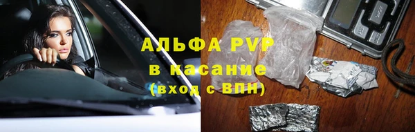 дживик Богданович