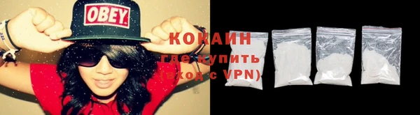 дживик Богданович