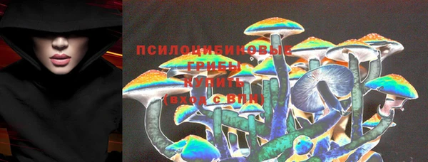 мдма Богородицк