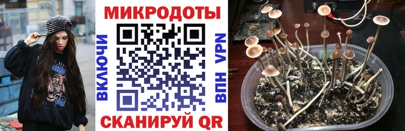 Псилоцибиновые грибы ЛСД  Малая Вишера 
